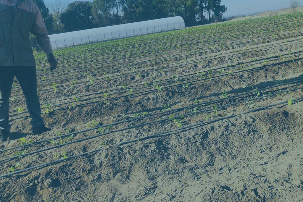 pexels-nataliya-vaitkevich-6120207-1024x683